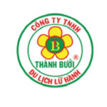 hte-global-thanh-buoi